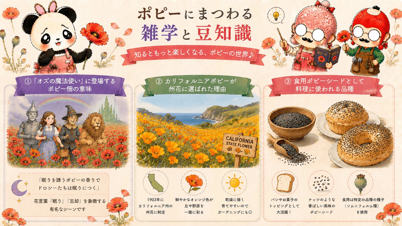 ポピーの豆知識と魅力