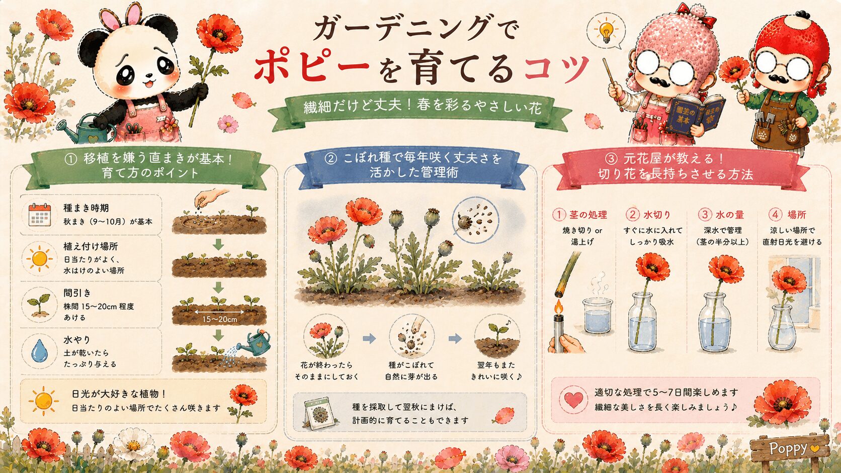 ポピーを育てるコツガイド