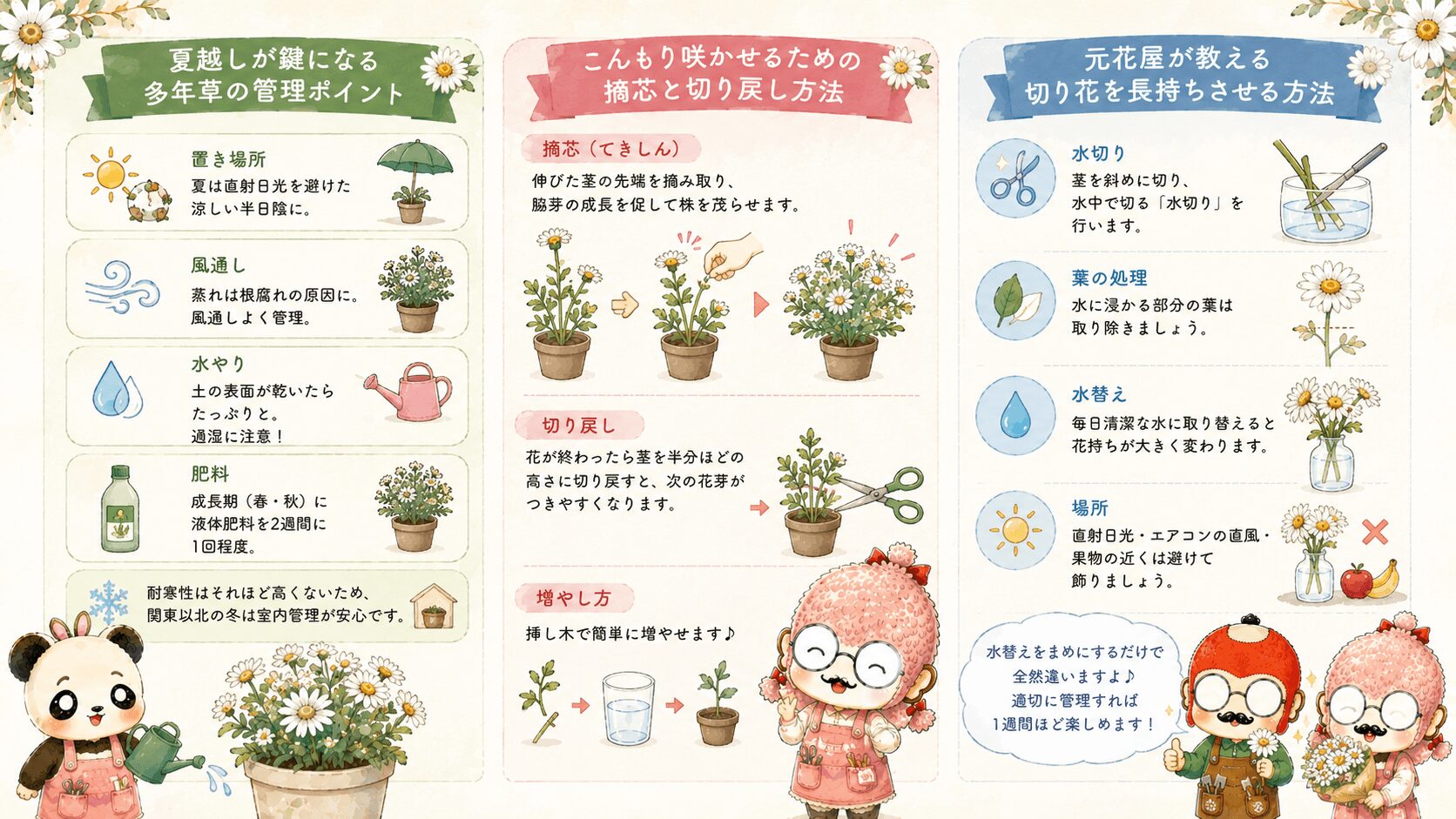 マーガレットのガーデニング活用