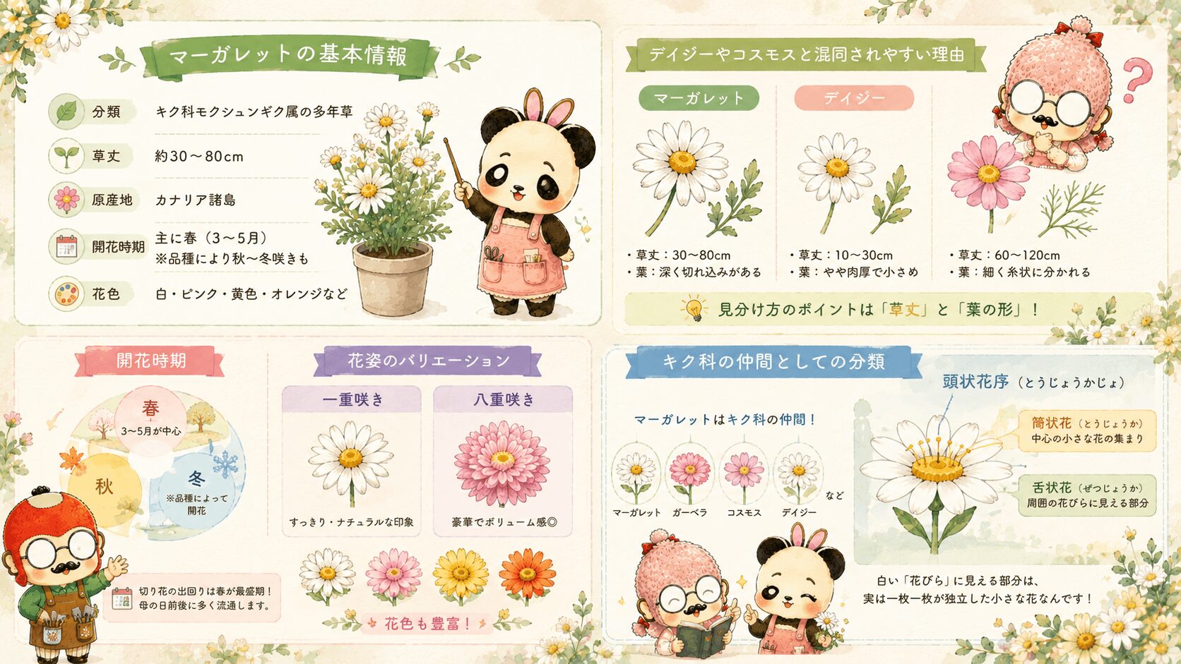 マーガレットの基本情報