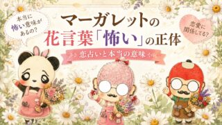 マーガレットの花言葉「怖い」の正体｜恋占いと本当の意味