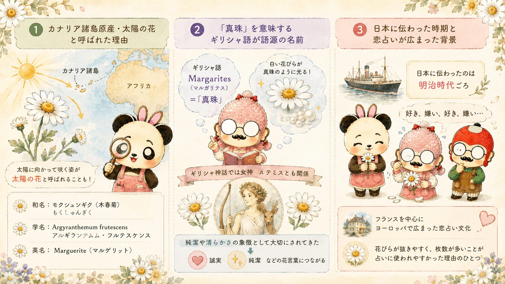 マーガレットの花言葉の由来