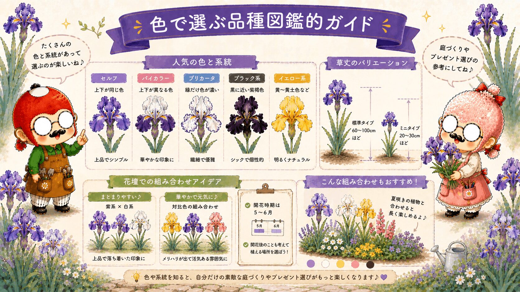 色と系統で選ぶジャーマンアイリス