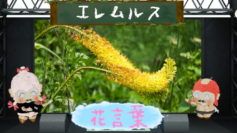 エレムルスの花言葉とその魅力を徹底解説