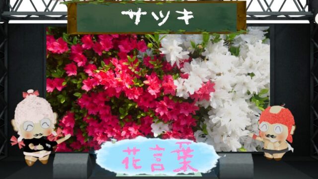 サツキの花言葉を徹底解析！怖い理由は妥当か否か？