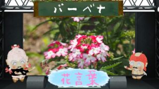 藤の花言葉！色別や由来も解説！文化的に怖い理由も検証