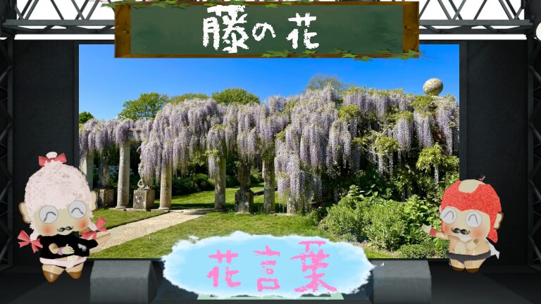 藤の花言葉!色別や由来も解説!文化的に怖い理由も検証