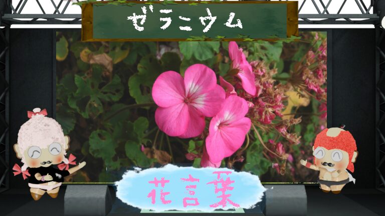 ゼラニウムの花言葉!色別や本数の他に怖い理由も解説