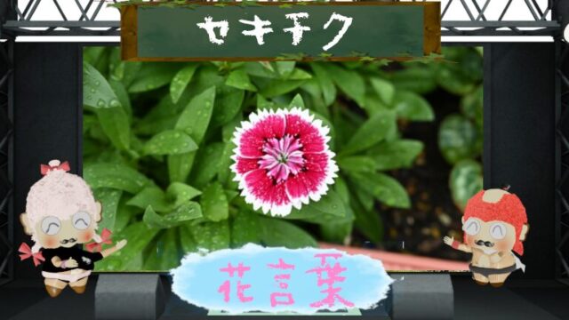 エンレイソウの花言葉！怖いと思えるのはとらえ方次第？