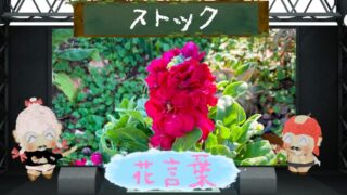 エゴノキと花言葉の魅力や由来を徹底解説