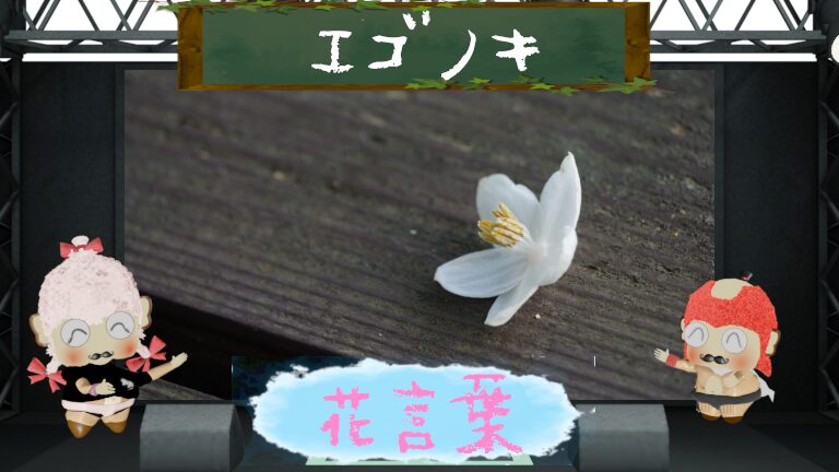 エゴノキと花言葉の魅力や由来を徹底解説