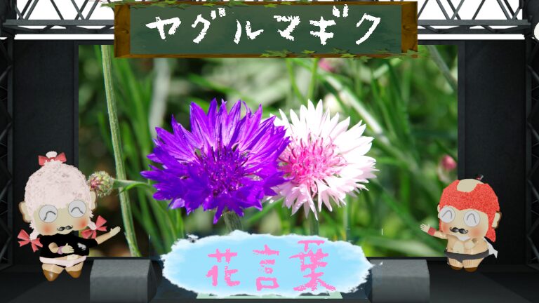 ヤグルマギクの花言葉!怖い理由や色別の花言葉も分析