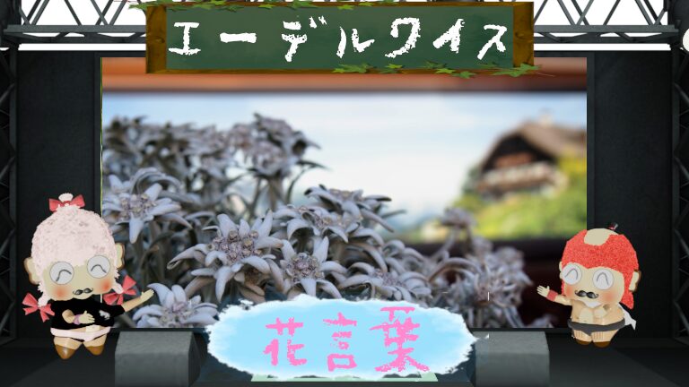 エーデルワイスの花言葉と魅力を徹底解説