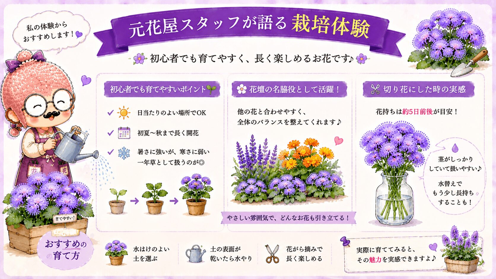 アゲラタムのガーデニング活用