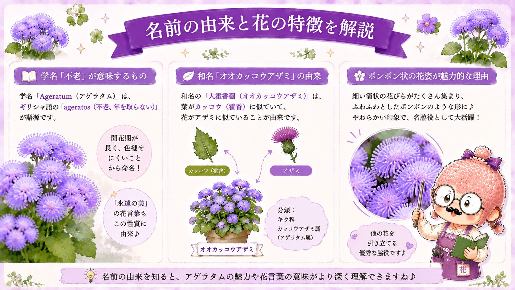 アゲラタムの名前の由来