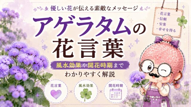 アゲラタムの花言葉｜風水効果や開花時期までわかりやすく解説
