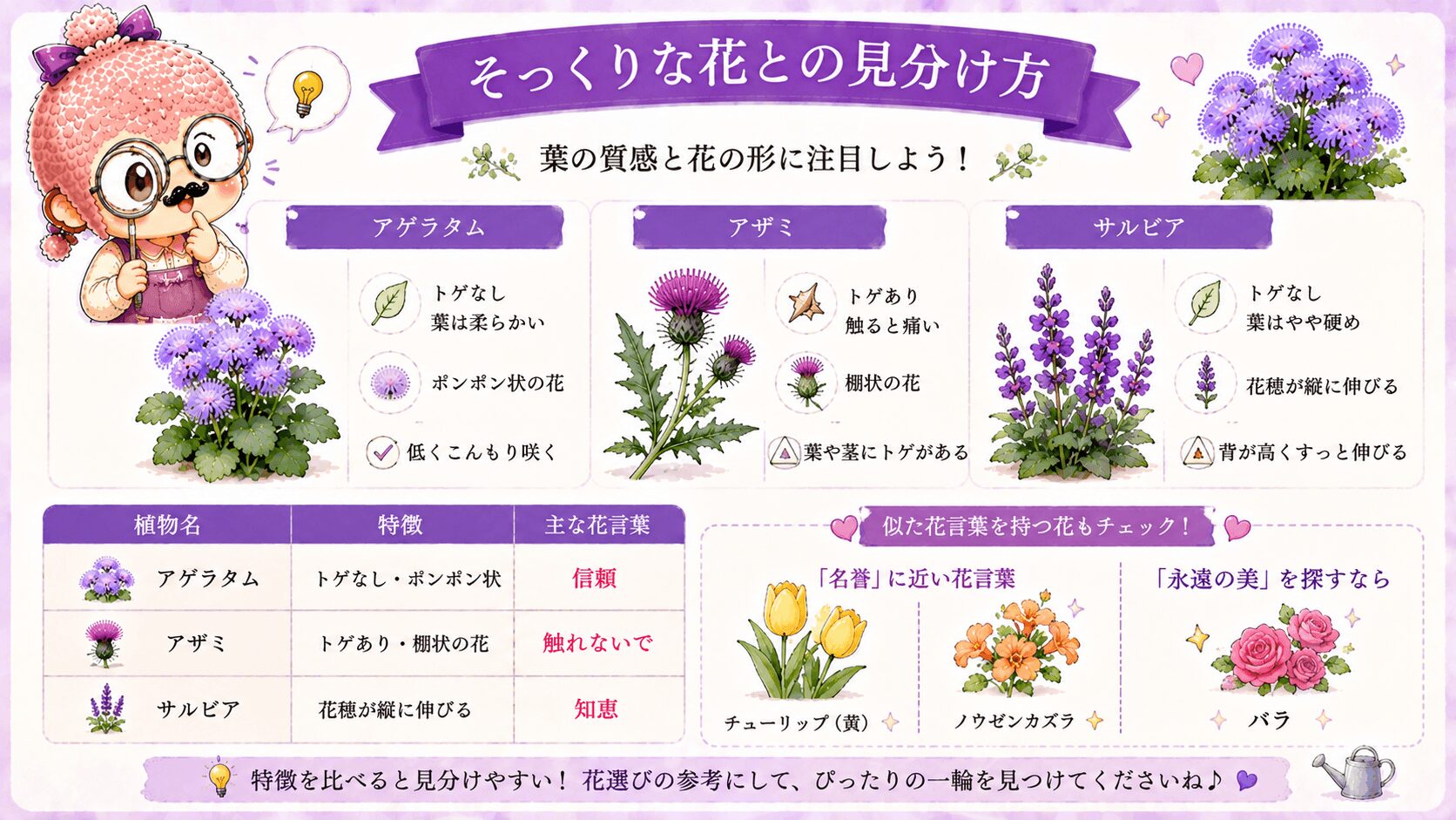 アゲラタムの花言葉に関する花
