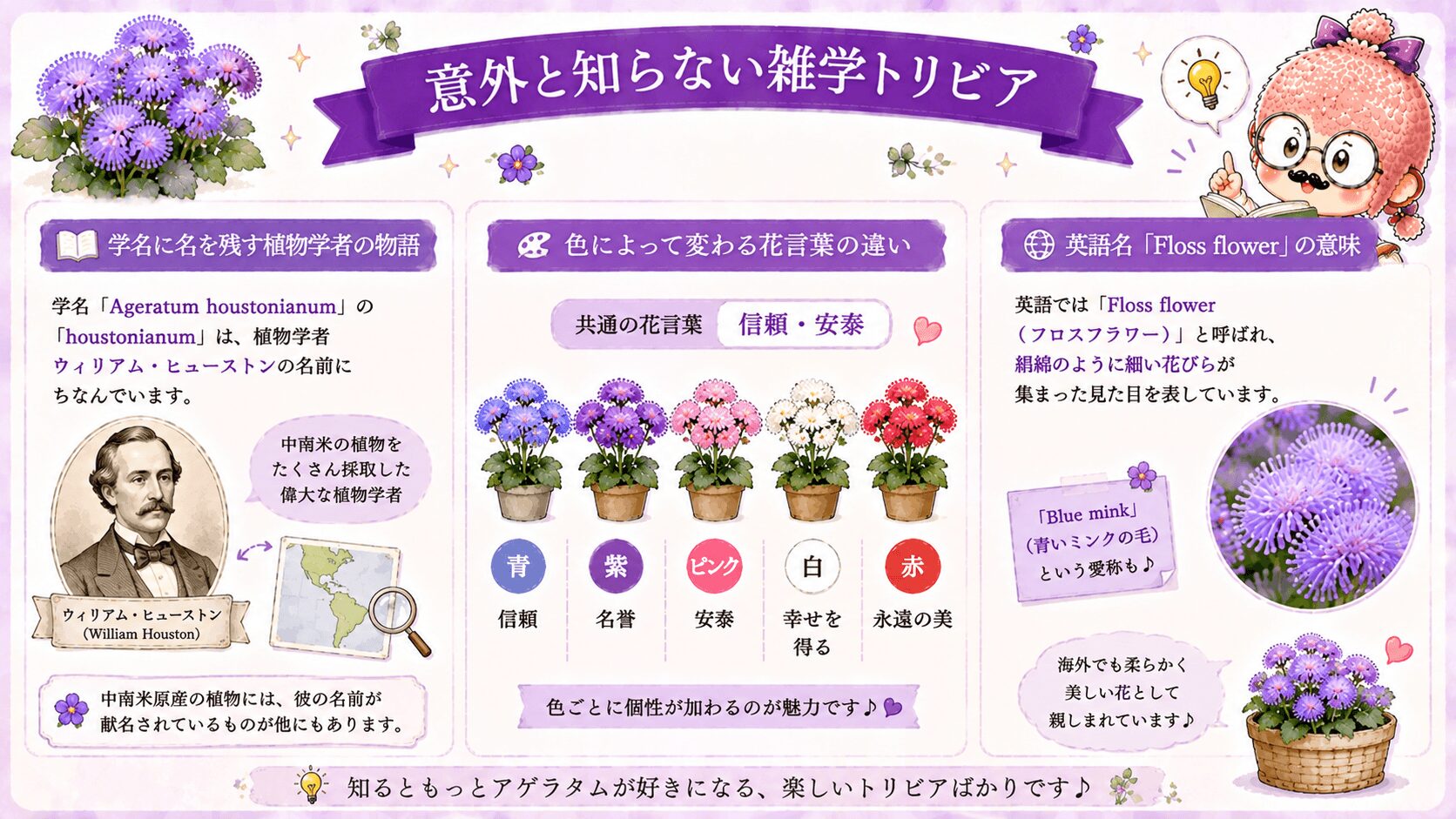 アゲラタムの雑学