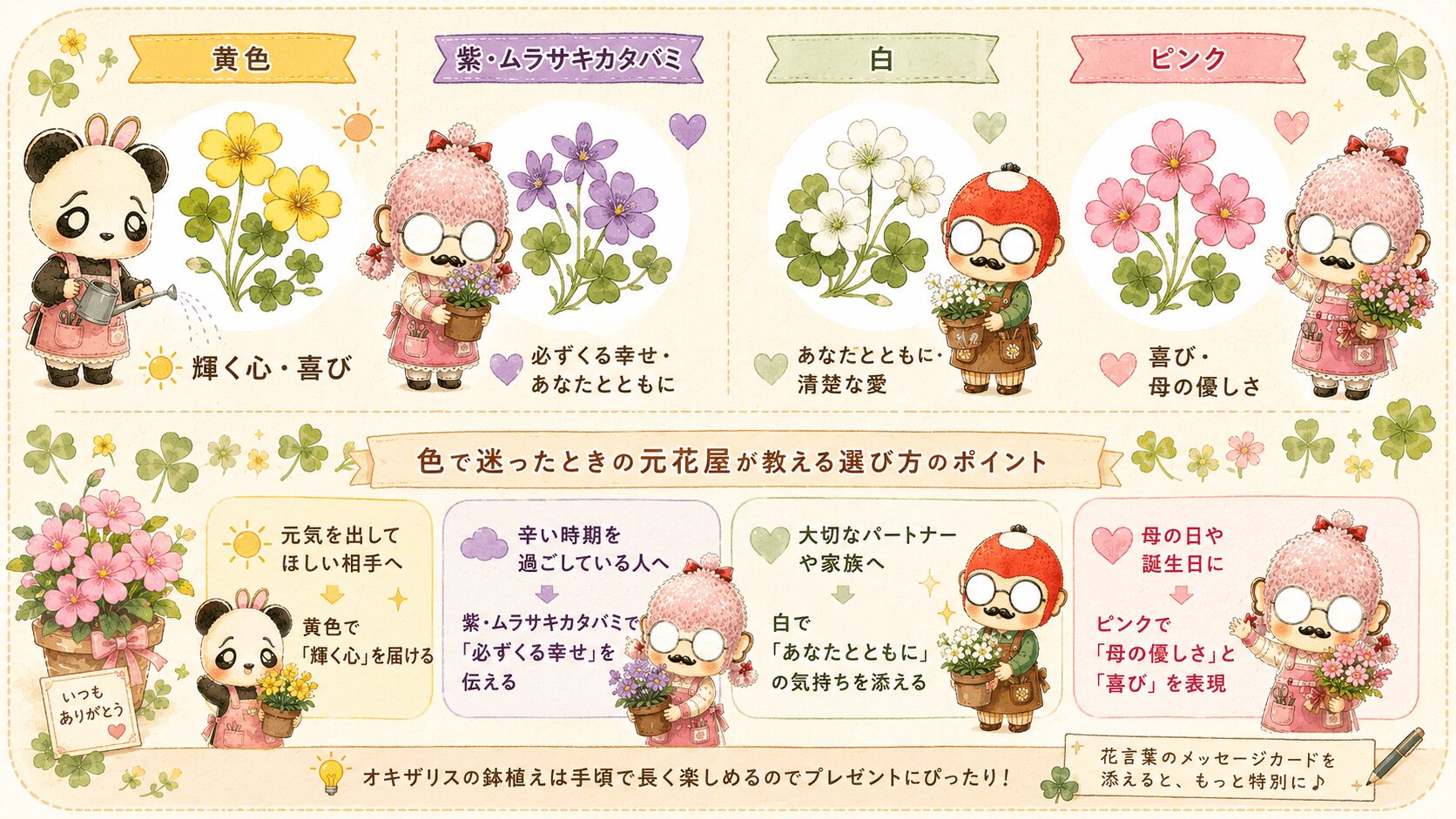 カタバミの色別の花言葉
