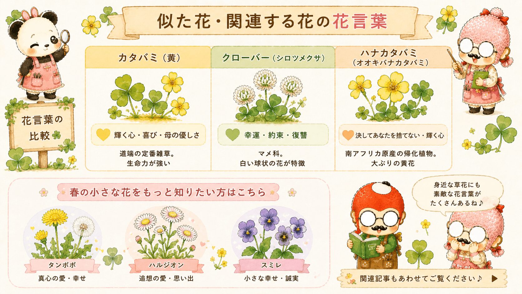カタバミの花言葉に関する花