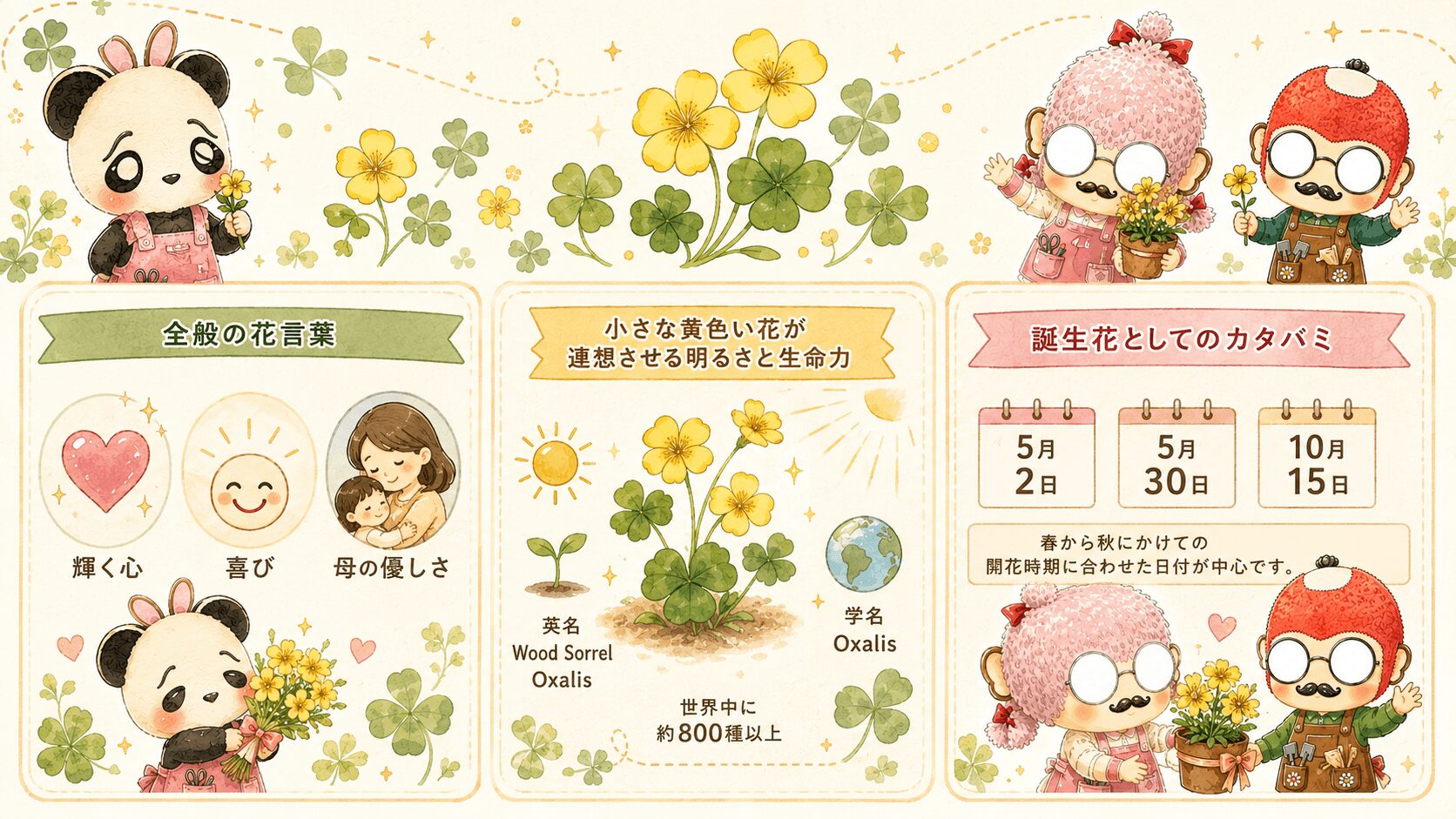 カタバミの花言葉一覧