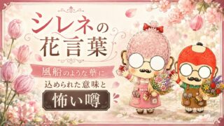 シレネの花言葉│風船のような萎に込められた意味と怖い噂