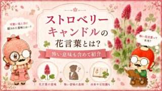 ストロベリーキャンドルの花言葉とは？怖い意味も含めて紹介