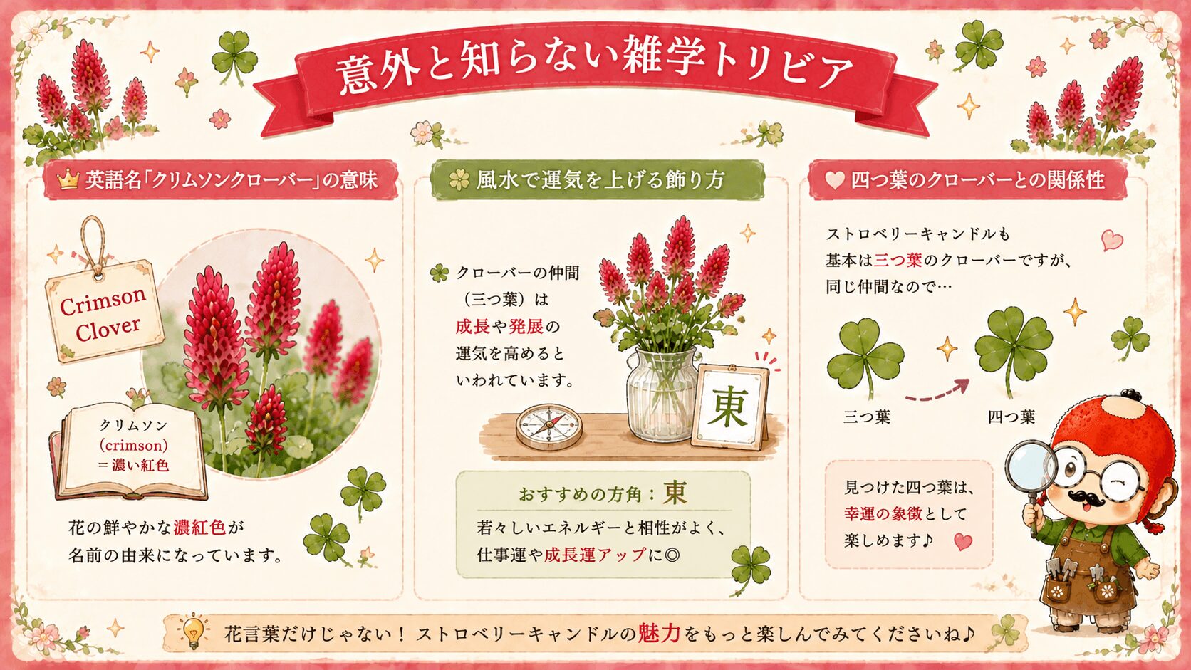 ストロベリーキャンドルの雑学