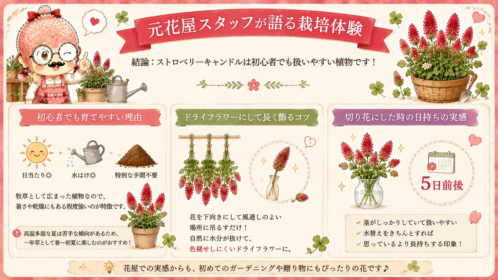 ストロベリーキャンドル栽培ガイド