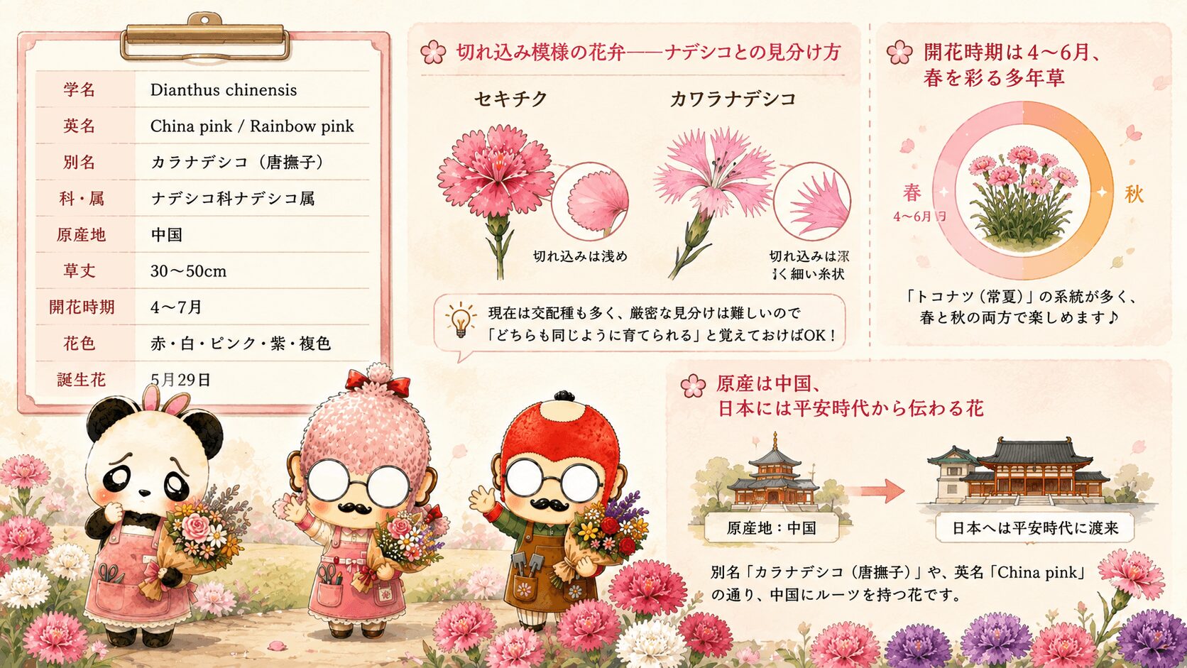 セキチクの基本情報
