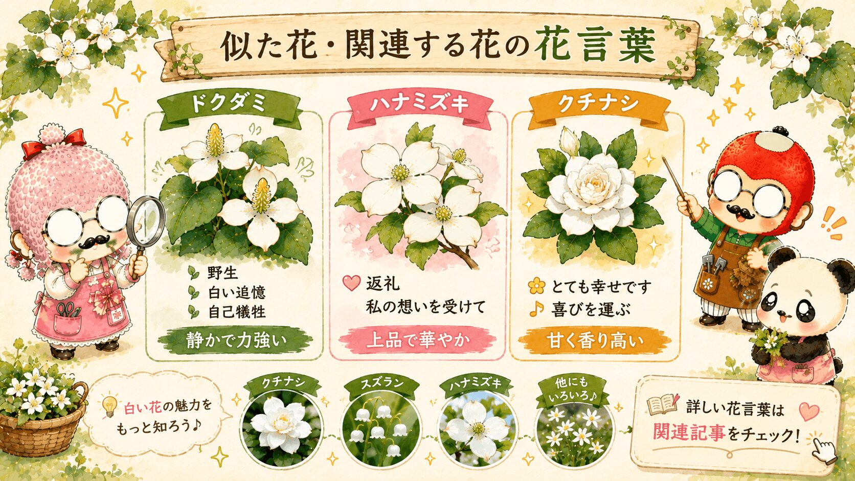 ドクダミの花言葉に関する花