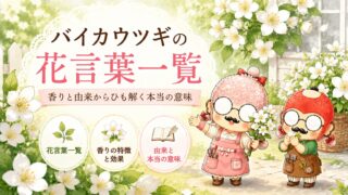 バイカウツギの花言葉一覧|香りと由来からひも解く本当の意味