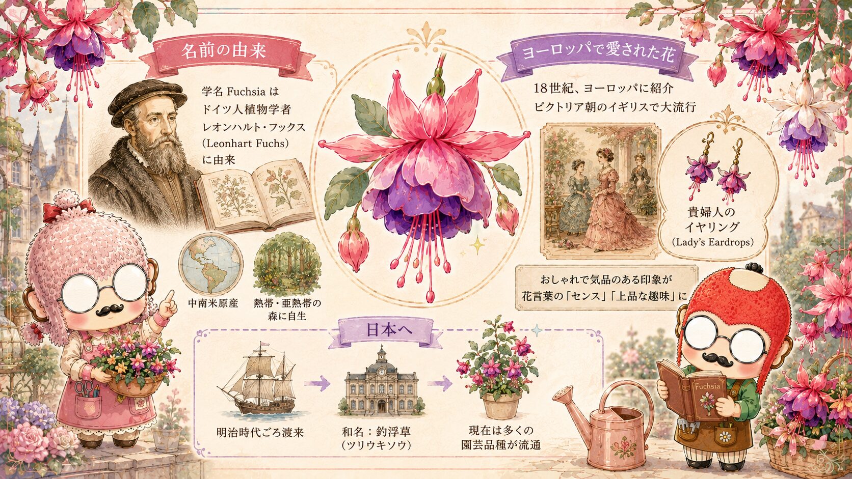 フクシアの歴史と物語