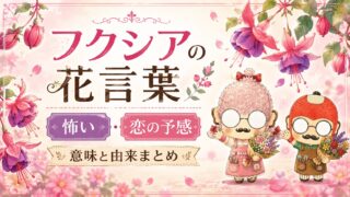 フクシアの花言葉【怖い・恋の予感】意味と由来まとめ