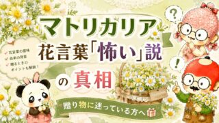 マトリカリア花言葉「怖い」説の真相｜贈り物に迷っている方へ
