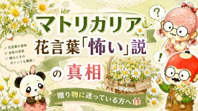 セキチクの花言葉はなぜ怖いのか？平安時代から続く花の秘密