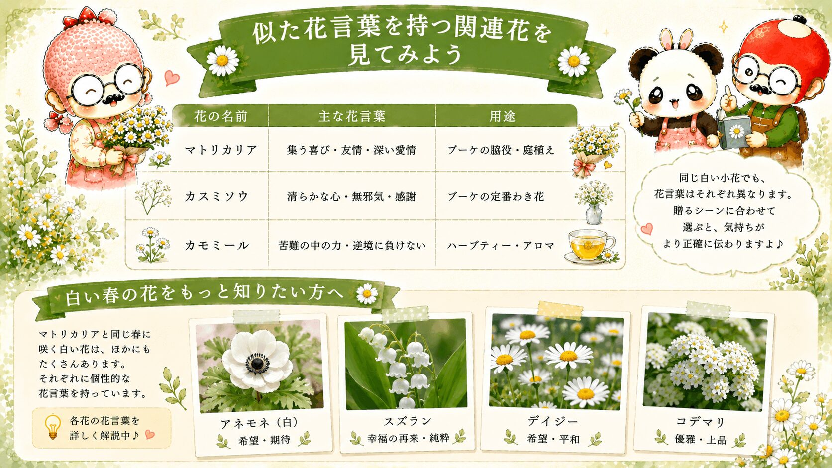 マトリカリアの花言葉に似た花