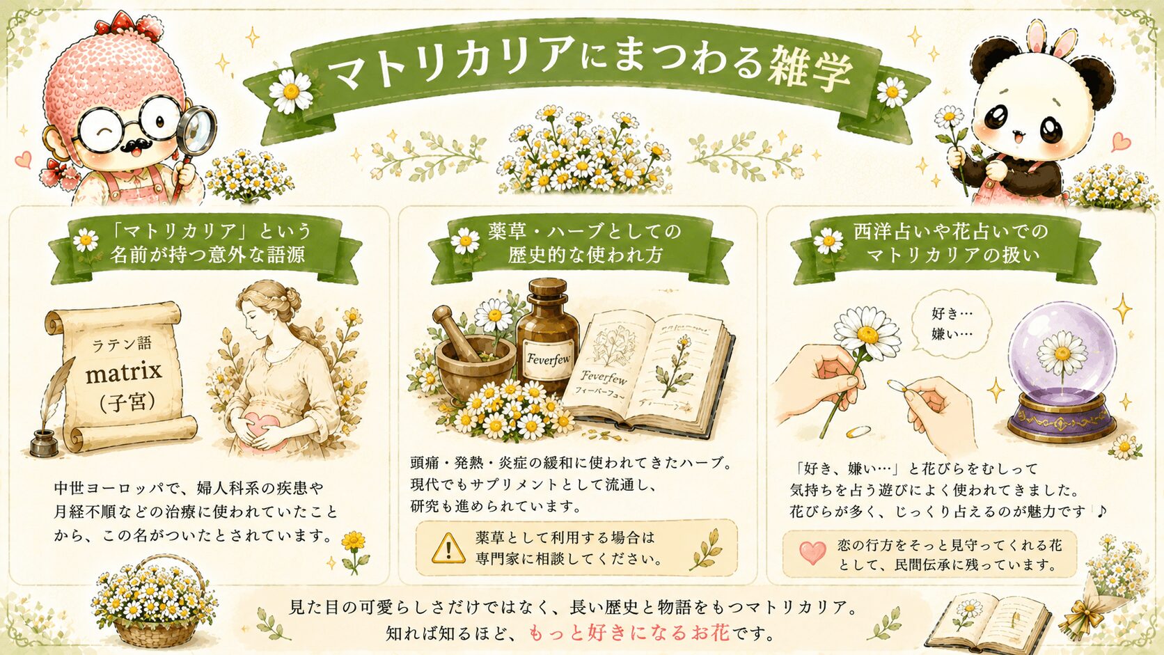マトリカリアの雑学