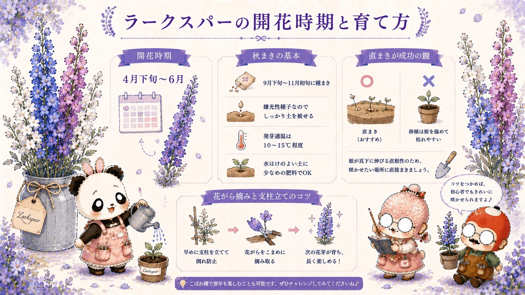 ラークスパーの開花時期