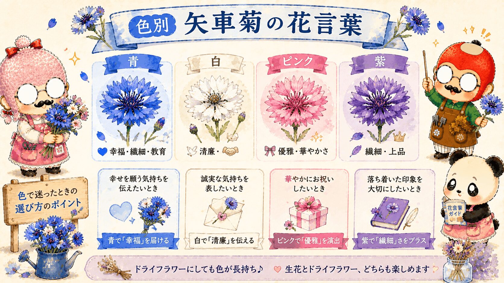 矢車菊の色別の花言葉