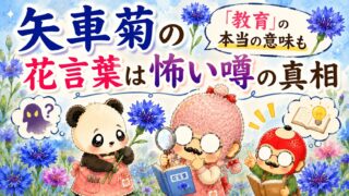 矢車菊の花言葉は怖い噂の真相│「教育」の本当の意味も