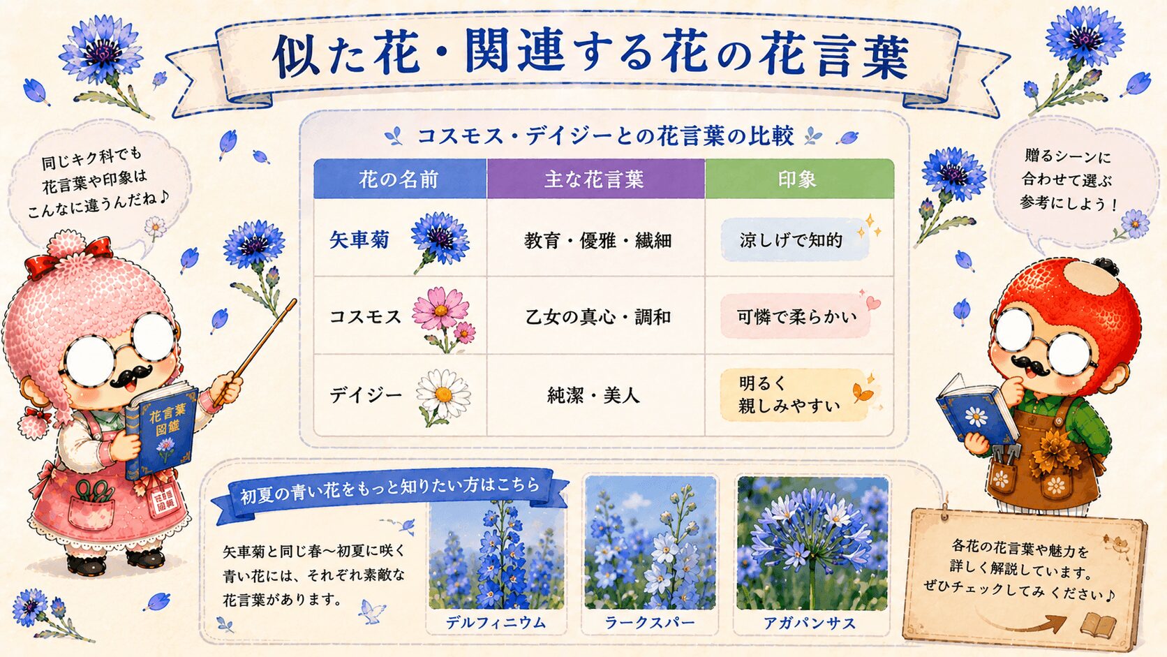 矢車菊の花言葉に関する花