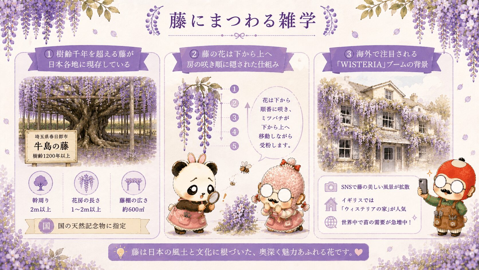 藤にまつわる雑学