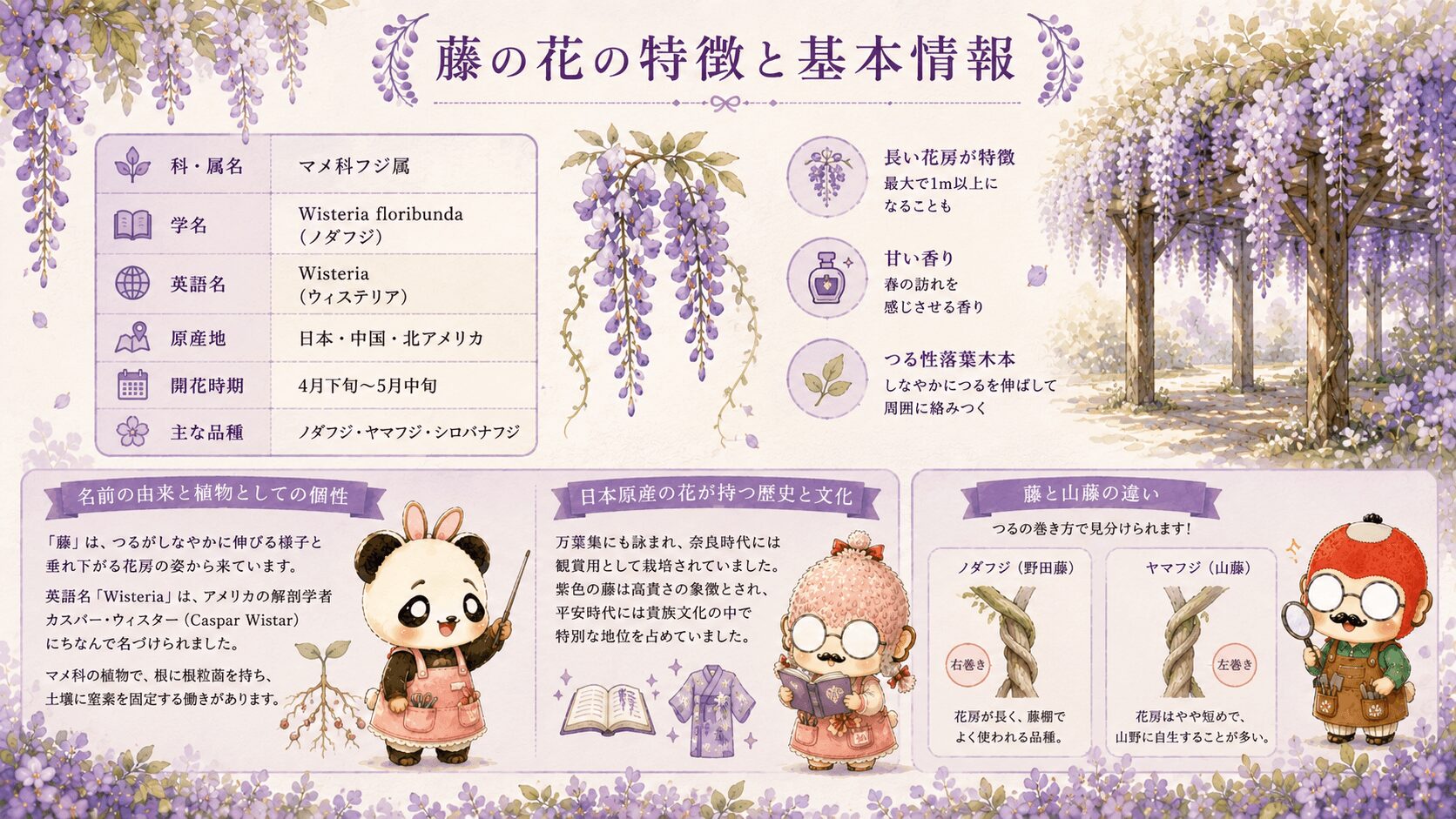 藤の花の特徴
