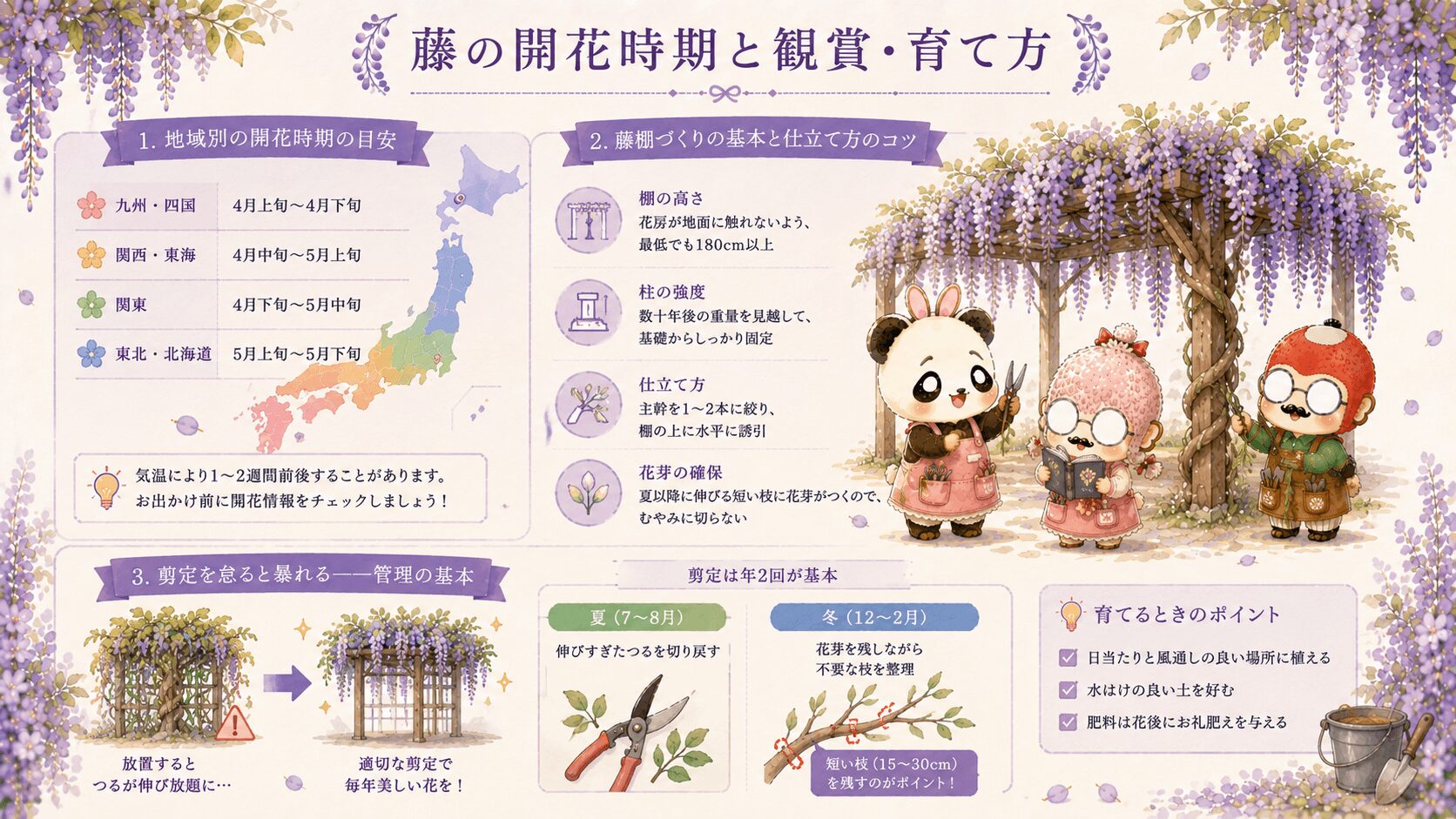 藤の開花時期