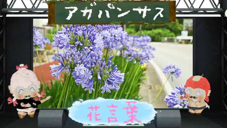 アガパンサスの花言葉!色別や由来は勿論怖い理由も解剖