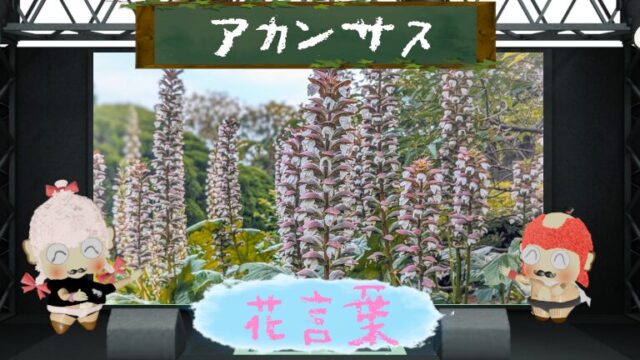 アカンサスの花言葉！色別の意味や怖いと言われる由来は？