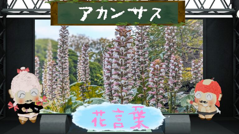 アカンサスの花言葉!色別の意味や怖いと言われる由来は?