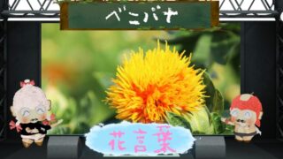 ベニバナの花言葉！色別の由来や怖い理由は？気になる魅力は？
