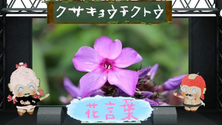 クサキョウチクトウの花言葉！由来や魅力に迫る！